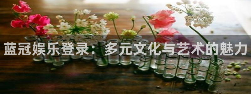 赢咖总代
