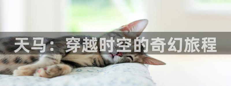 赢咖3
