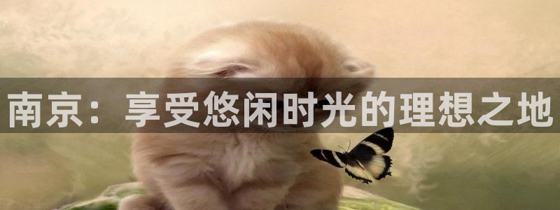 赢咖2首页