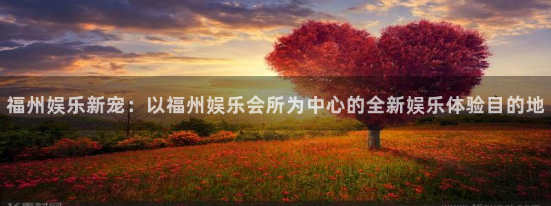 赢咖登录