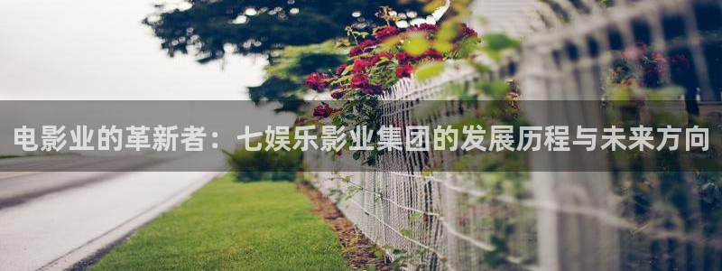 赢咖世纪娱乐