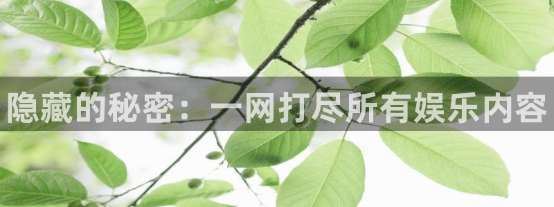 赢咖世纪娱乐