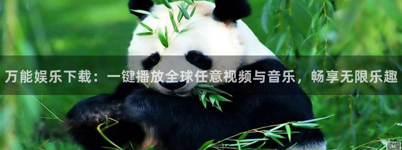 赢咖登录