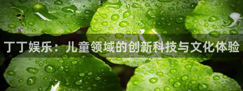 赢咖2登录地址